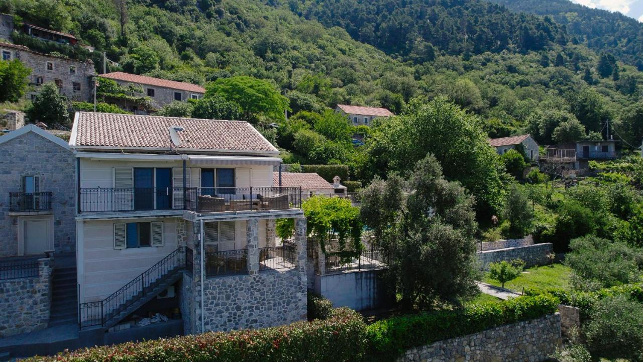Villa Dub Κότορ Εξωτερικό φωτογραφία